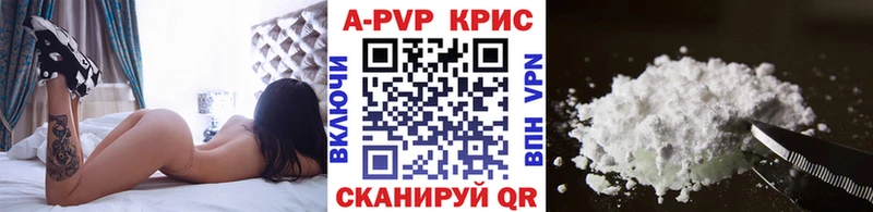 Альфа ПВП СК  Моздок 