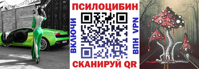 дарнет шоп  Моздок  KRAKEN онион  Галлюциногенные грибы прущие грибы 